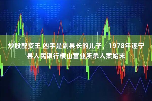 炒股配资王 凶手是副县长的儿子，1978年遂宁县人民银行横山营业所杀人案始末